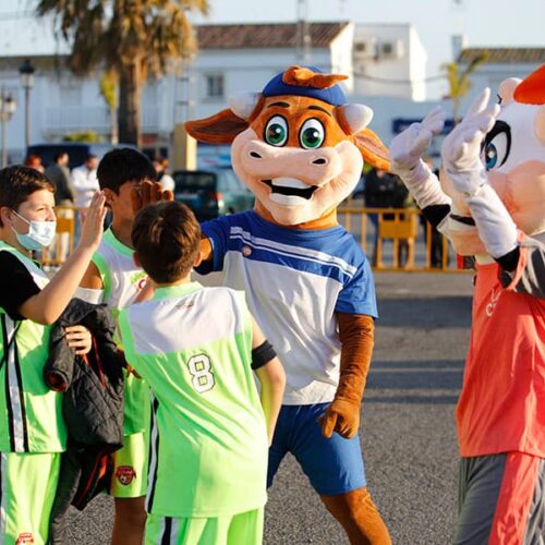 Sede-Cadiz-Guadalcacin-23_Karui Marketing